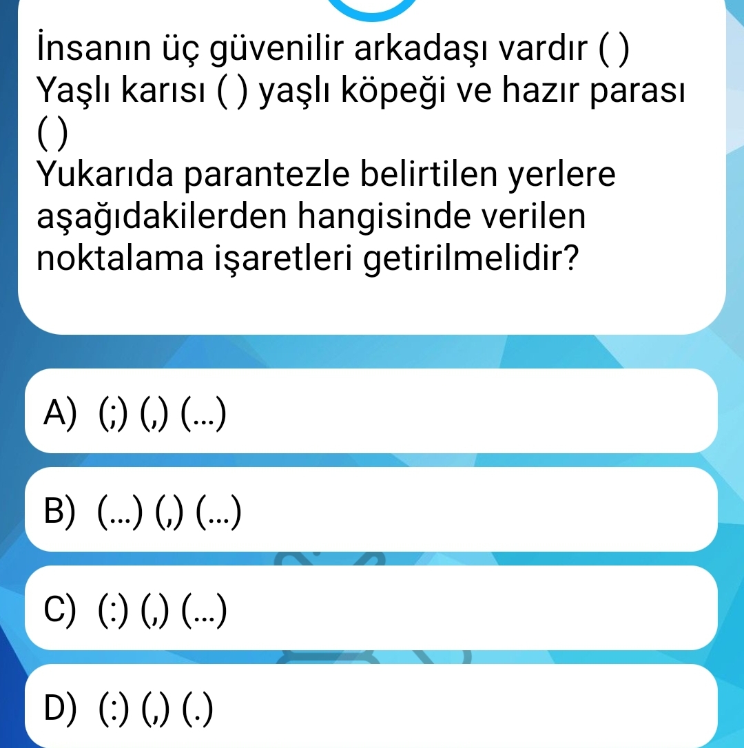 Soru Görseli